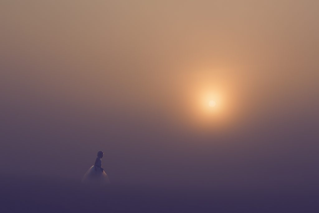 aamusumu morning mist