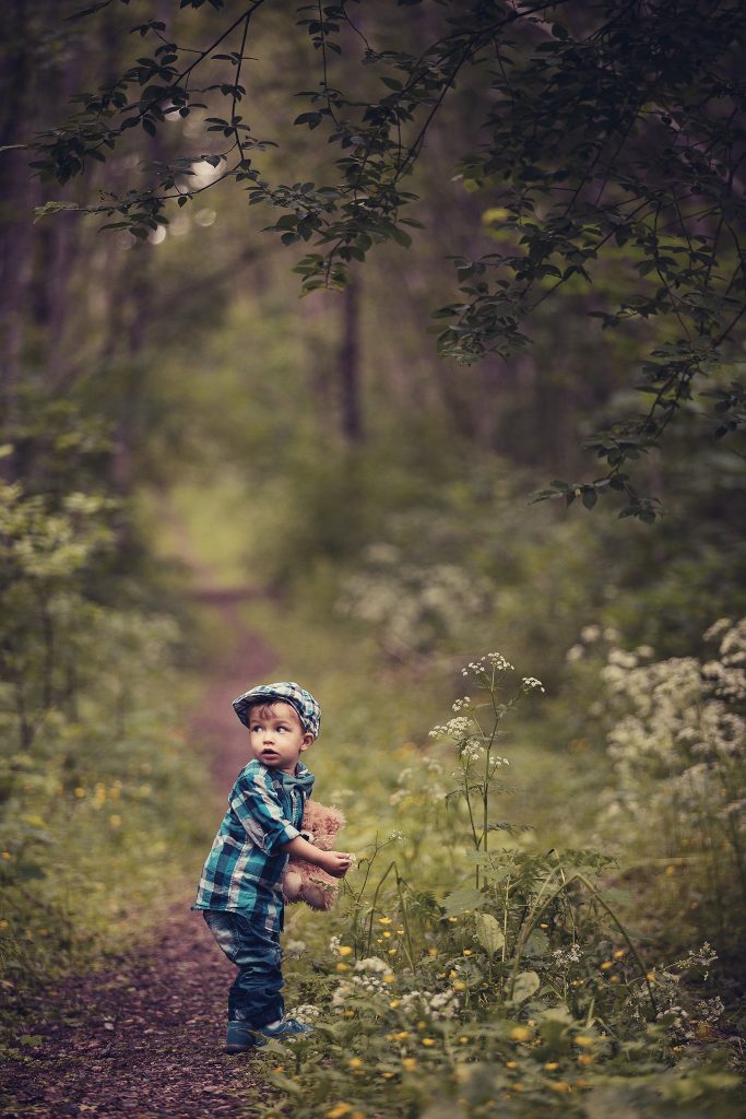 small boy forest teddy poika polku